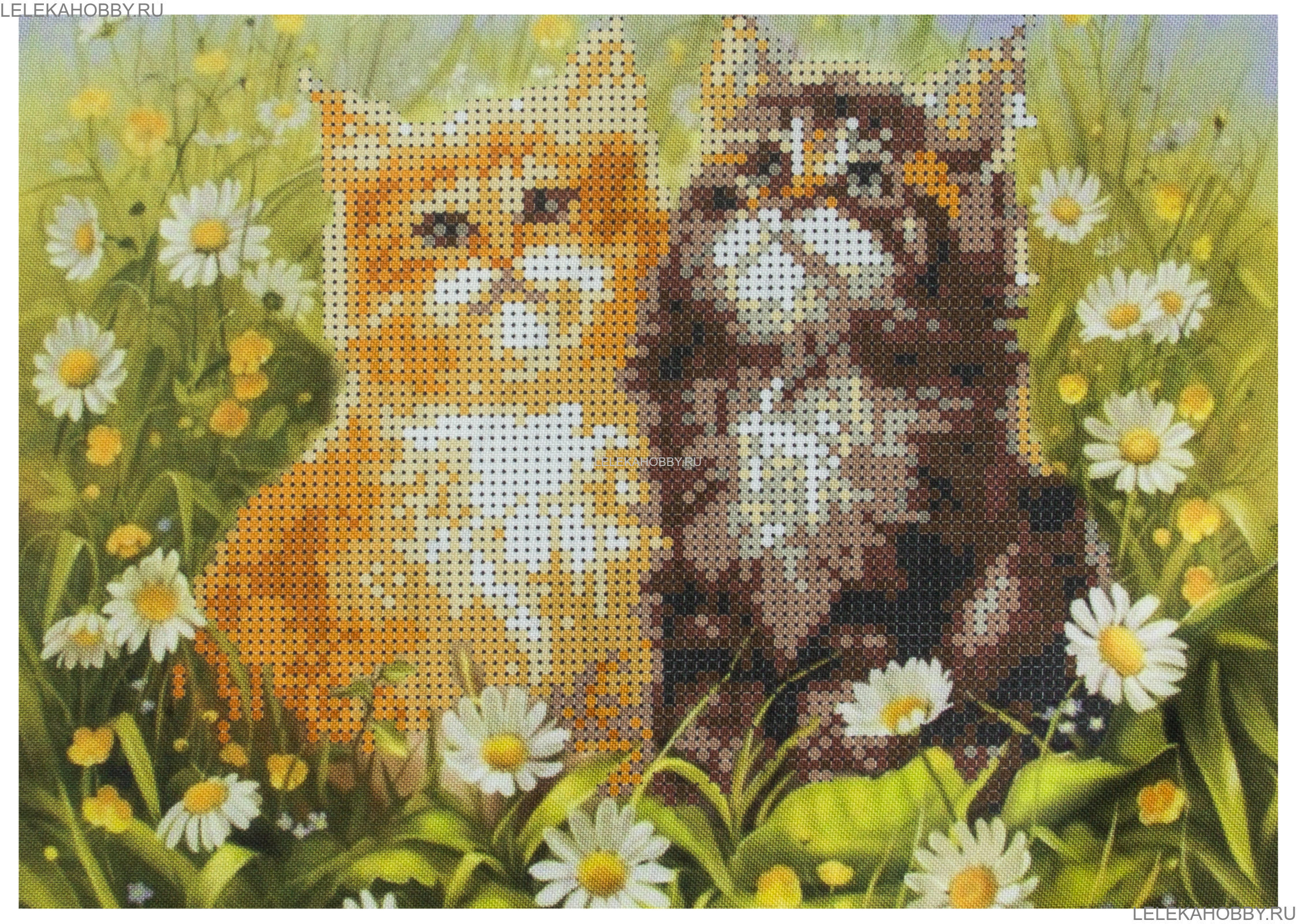 картинки открытки котики