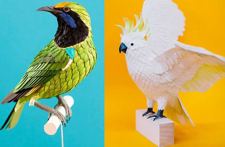 Конструирование птицы из цветной бумаги